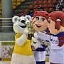 Кубок "Добрый лед"